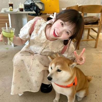 鹿晗演唱会