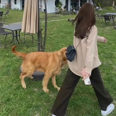 黄道杀人魔再揭秘
