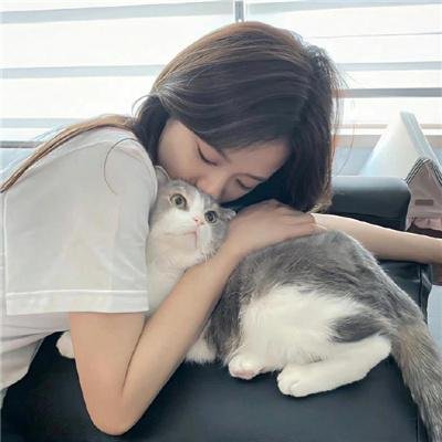 暴力的种子